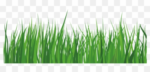 Home - Grass Emoji,Home With Grass Emoji