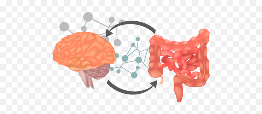 Large Intestine Microseum Emoji,Large Intestine Emotions