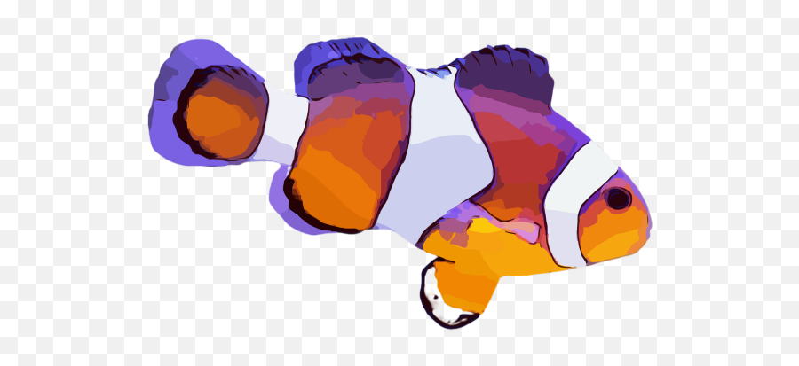 Clown Fish Png Images Download Clown Fish Png Transparent Emoji,Clown Emoji Did U Drop This