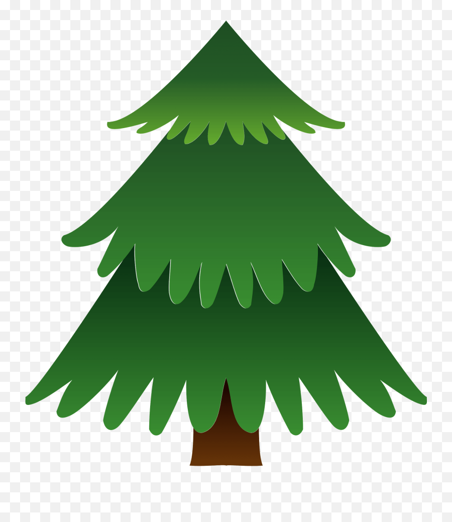 Abies Firma Momi Fir - Boreal Conifer Emoji,Pine Cone Emoji