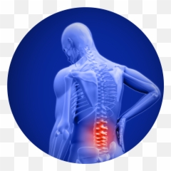Lower Back Pain Png Pic - Backpain Png Emoji,Emoji With Back Pain