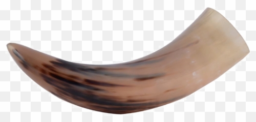 Buy Long Natural Horn L Handikart - Solid Emoji,Shofar Emoji