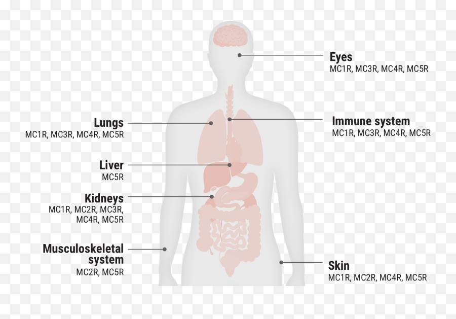 Proposed Moa Acthar Gel Repository Corticotropin Injection Emoji,Eappel To Emotion