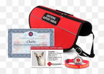 Michelly Rocha - Handbag Style Emoji,Emotion Support Animal