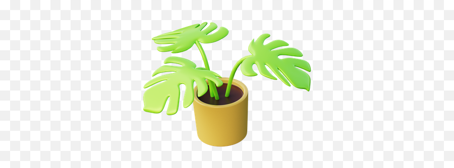 Monstera Plant 3d Illustrations Designs Images Vectors Hd Emoji,Plants Emojis