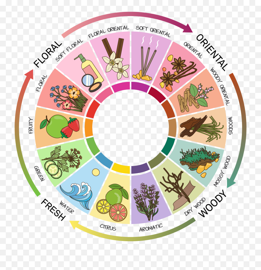 Essential Oil Fragrance - Types Of Perfume Scents Emoji,Doterra Emotion Wheel