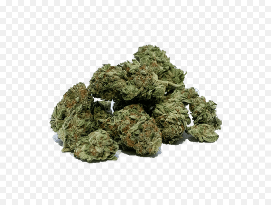 Cbd - Green128a001com Green Drugs Emoji,Meridien Vessie Emotion