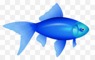 Goldfish Png - Transparent Background Transparent Fish Emoji,Sexy Goldfish Emoji