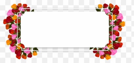 Roses Bright Flowers Multi Color - Flower For Banner Emoji,Banner Colors For Emotions