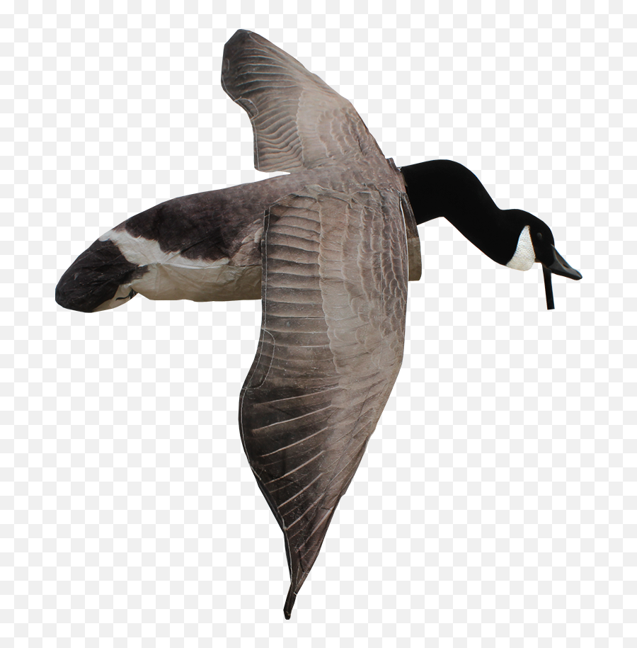 Deck Boss Flying Canada Goose Decoy - Flying Goose Decoy Emoji,Canadian Goose Emoticon