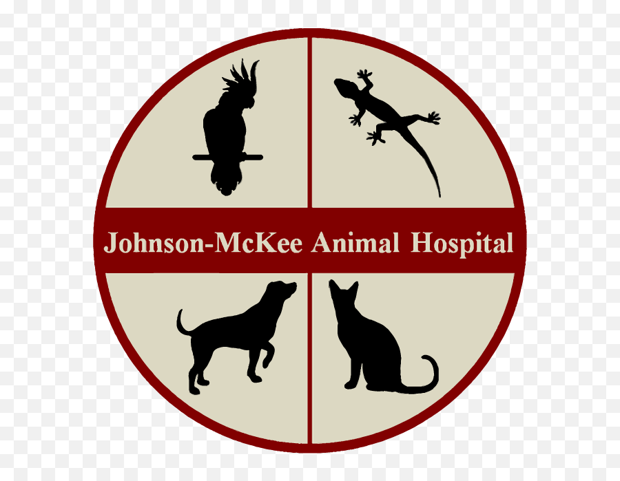 Terms U0026 Conditions Johnson - Mckee Animal Hospital Emoji,Lizard Emotions