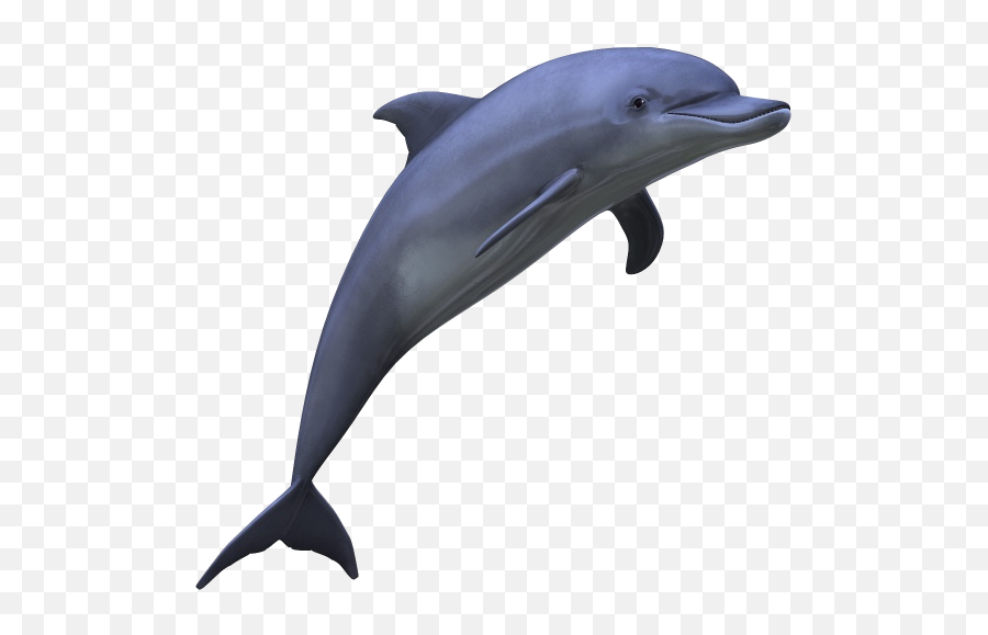 Dolphins - Dolphin Transparent Background Emoji,Dolphin Emotions