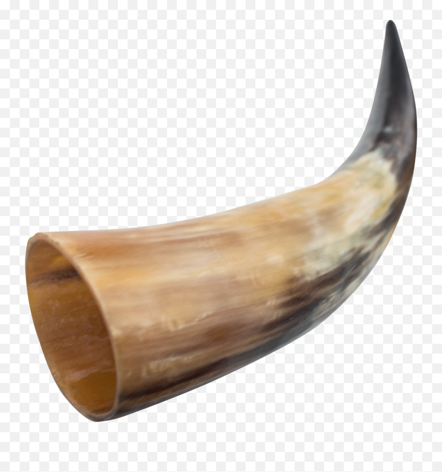 Vocabulary Review - Viking Horn Png Emoji,Shofar Emoji