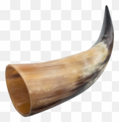 Vocabulary Review - Viking Horn Png Emoji,Shofar Emoji