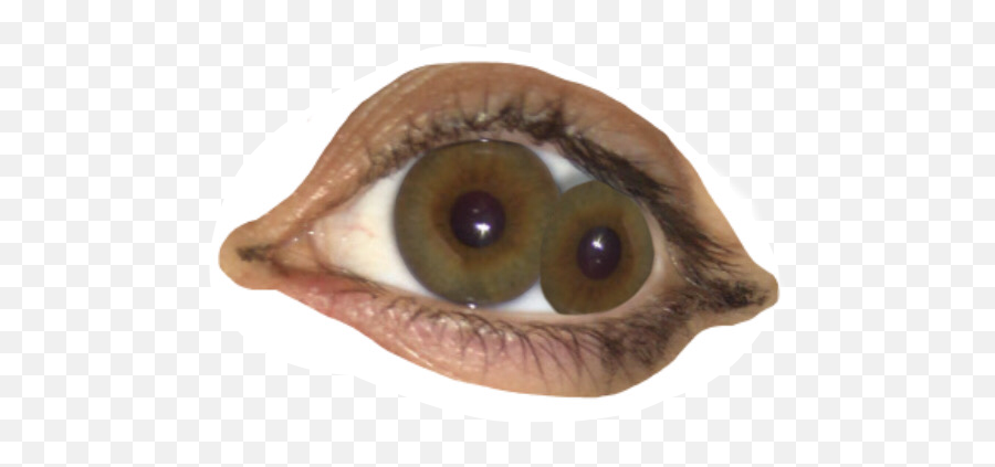 Weirdcore Weird Eye Psychadelic Sticker By Artie - Png Weird Core Eyes Transparent Emoji,Weird Eye Emoji