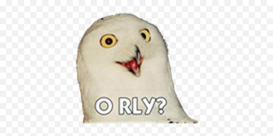 Lets Talk About - O Really Owl Png Emoji,Wince Emoji