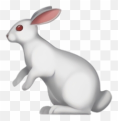 Easter Rabbit Rabbits And Hares Animal Figure For Easter Day - White Rabbit Emoji Png,Rabbit Emoji