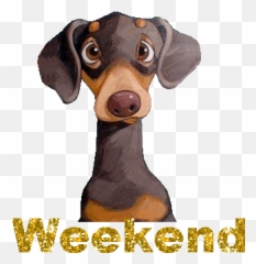 Dachshund Graphics And Animated Gifs Picgifscom - Have A Nice Weekend Gifs Animados Emoji,Weiner Dog Emoticons