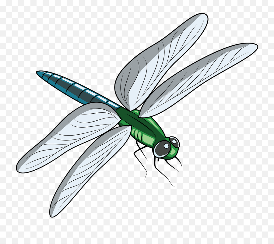Free Dragonfly Cliparts Png Images - Clipart Of Dragon Fly Emoji,Dragonfly Text Emoticon