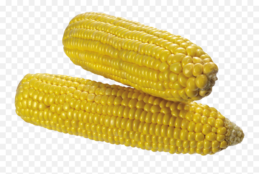 Corn Flint Corn Sweet Corn - Süt Msr Png Emoji,Corn Cob Emoji Shirt