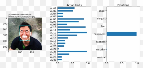 Detecting Fex From Images Py - Vertical Emoji,Actress With No Facial Emotion