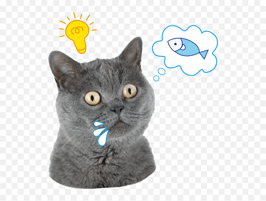 Cats Emoticons Blue Cats Vector - Cat Apparel Emoji,Cat Emoticons