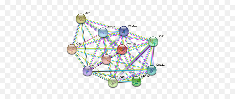 Avpr1a Protein Mouse - String Interaction Network Emoji,Emotion And Phylogeny
