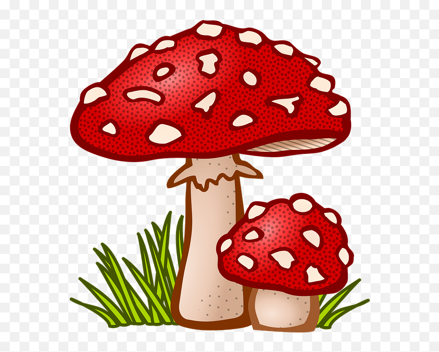 Free Photo Fungus Mushroom Toadstool Amanita Muscaria - Max Emoji,Toadstool Emoji