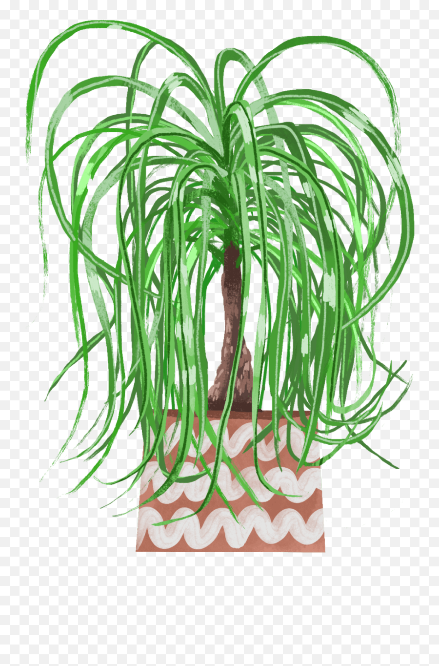 Ponytail Palm Plant Care Guide Emoji,Palms Up Brown Emoji