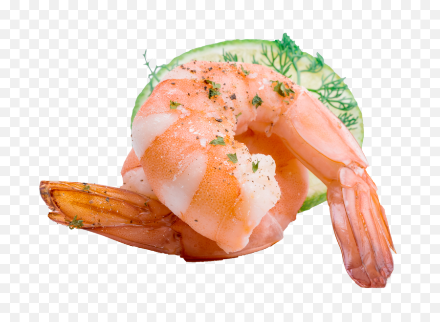 Free Shrimp Cocktail Png Download Free Clip Art Free Clip - Shrimp Food Clipart Transparent Emoji,Prawn Emoji