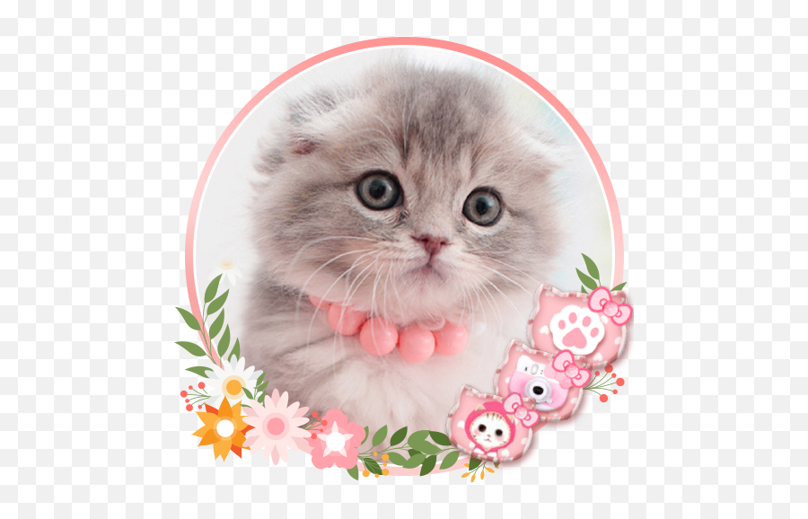 Cute Cat Live Launcher Theme 3d Wallpapers Mod Apk 10 - Kucing Gambar Animasi Lucu Emoji,Money Emoji Wallpaper