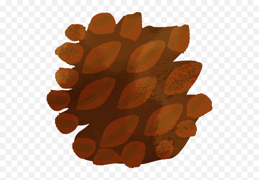 Pinecone - Conifer Cone Emoji,Pine Cone Emoji Png