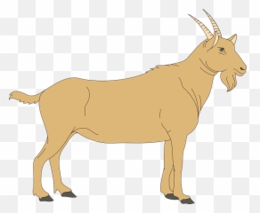 Goat Clipart Middle Goat Middle - Digestive System Of A Goat Emoji,Goat Emoticon