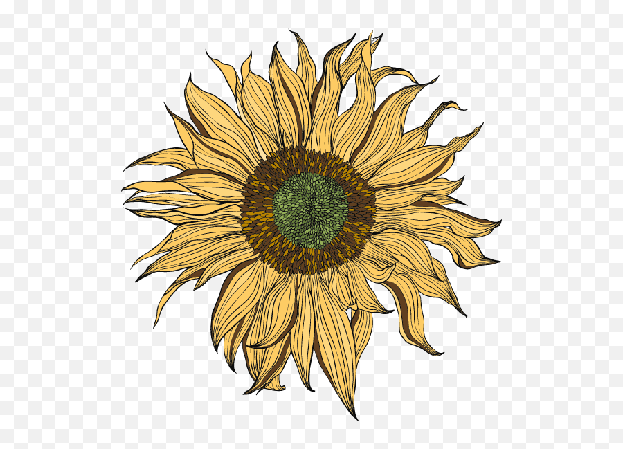 Sunflower Clip Art - Sunflower Graphic Illustration Emoji,Facebook Sunflower Emoticons