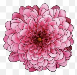 45 Types Of Pink Flowers Custom Graphics Emoji,Aesthetic Pink Flower Emoji