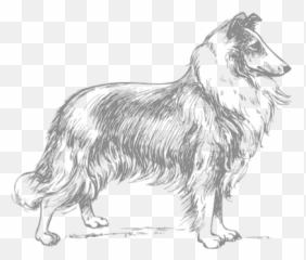 500 Free Looking U0026 Eyes Vectors - Pixabay Collie Clipart Black And White Emoji,Sheltie Emoji