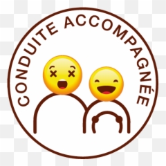 Humorous Accompanied Driving Car - Autocollant Conduite Accompagnée Humoristique Emoji,Barcelona Flag Emoji