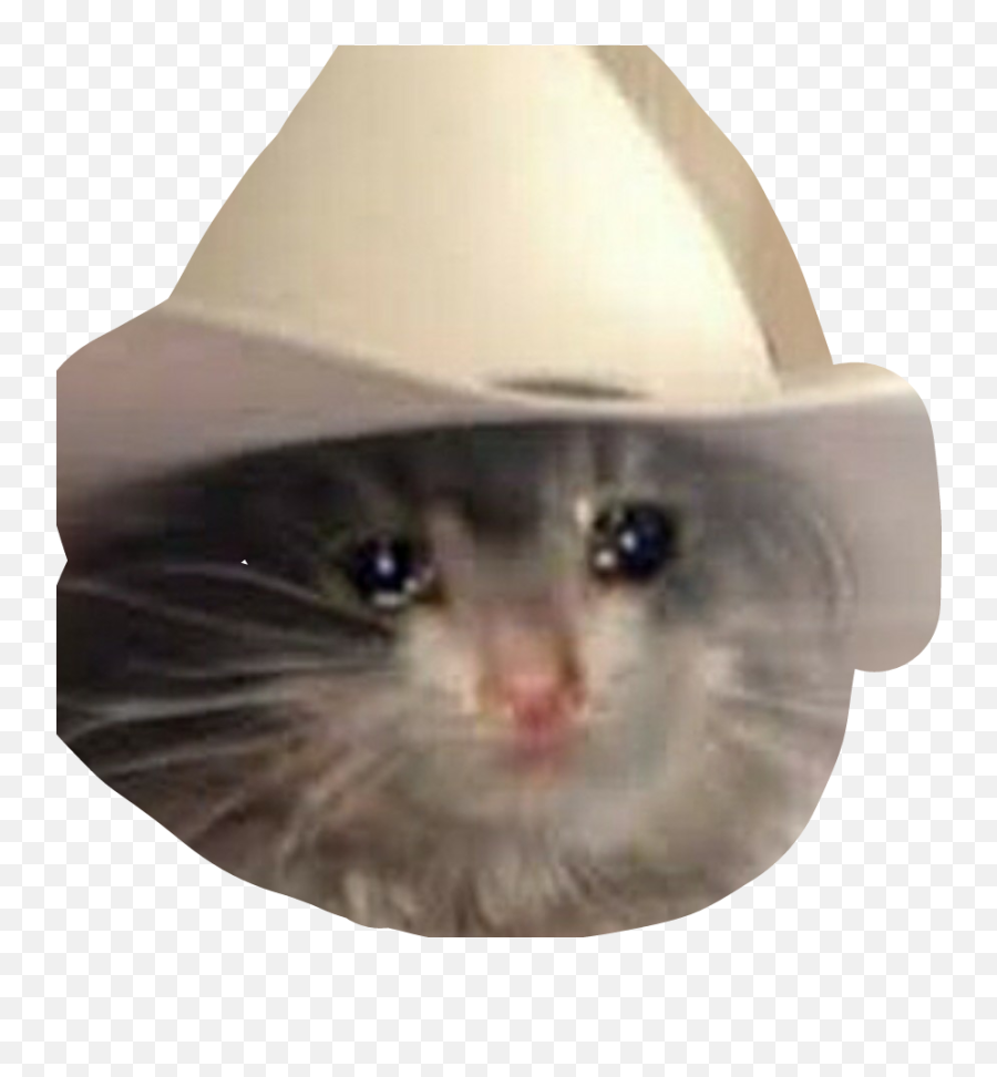 Sad Cat Png Transparent Png Png Collections At Dlfpt - Crying Cat Meme Transparent Emoji,Sad Cowboy Emoji Png