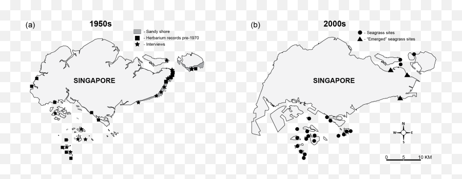 Thalassia Hemprichii - Sickle Seagrass Taxo4254 Wikinus Emoji,Wikipedia Eastern Emoticons