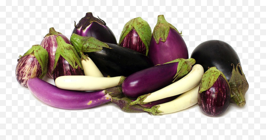 Eggplant Emoji Png - Fun Facts About Eggplants,Egg Plant Emoji