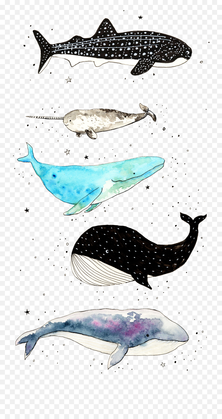 Whale Iphone Wallpaper Emoji,Unicorn Emoji Wallpaper For Iphone