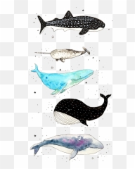 Whale Iphone Wallpaper Emoji,Unicorn Emoji Wallpaper For Iphone