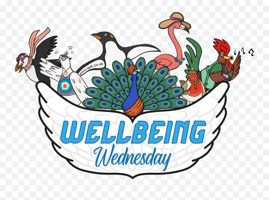 Wellbeing Wednesday - Mental Health Scheme Activities Emoji,Emotion Schemes