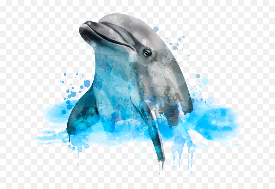 Dolphin Watercolor Dolphin Painting - Watercolor Dolphin Emoji,Dolphin Emotions