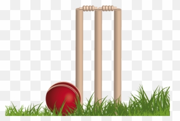 Cricket Png Background Image Png Mart Emoji,Crickets Emoji Png