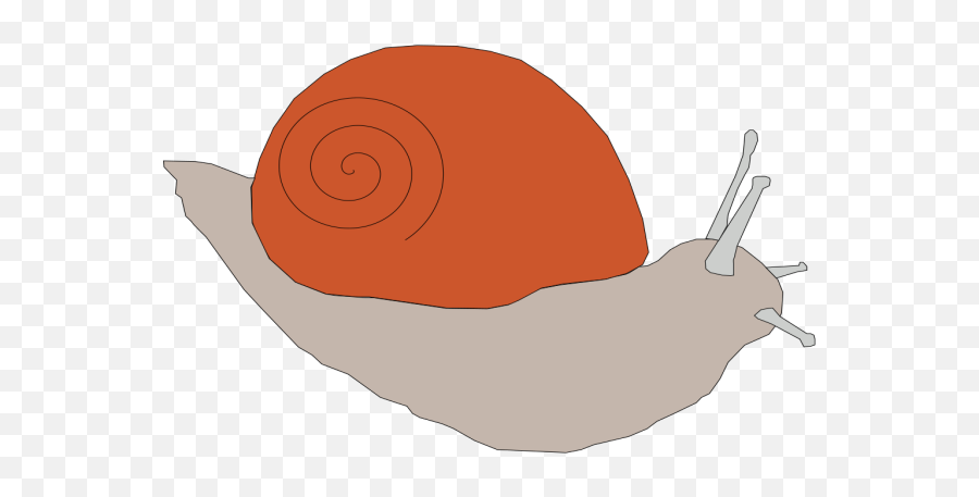 Conch Large Snail Png Svg Clip Art For Web - Download Clip Emoji,Snail Emoji