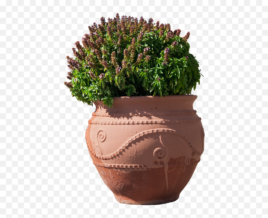 The Coolest Cactus Nature Images And Photos On Picsart Emoji,Maceta Emoji