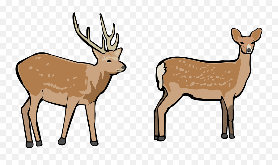 Deer - Clipart Doe Emoji,Antler Emoji