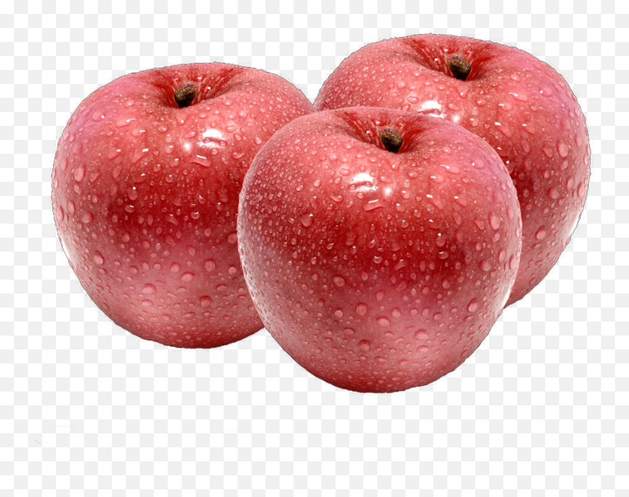 Apple Fuji Auglis - Three Apples Png Download 1024768 Transparent Fuji Apple Png Emoji,Fuji Emoji