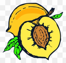 Coredump Peach Png Svg Clip Art For Web - Download Clip Art Pit Clipart Emoji,Peach Emoji Cushion